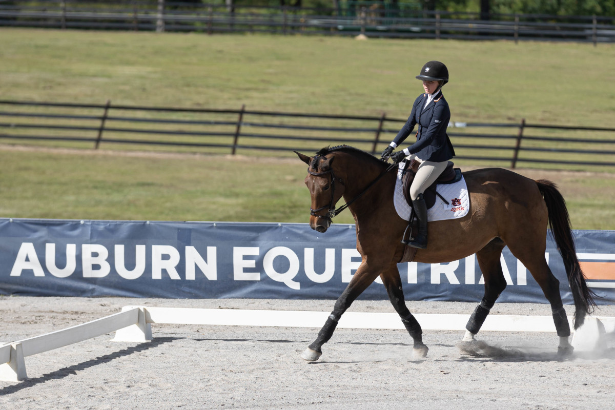 Lauren McCaulley of Auburn Equestrian